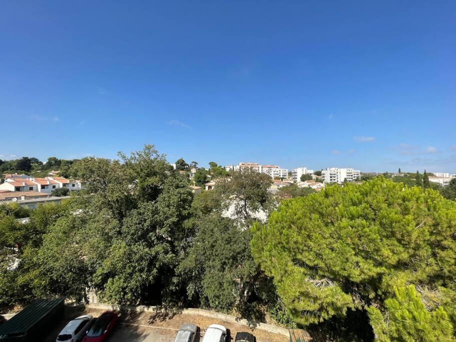 Appartement T2 Avec Terrasse- Montpellier Extérieur photo