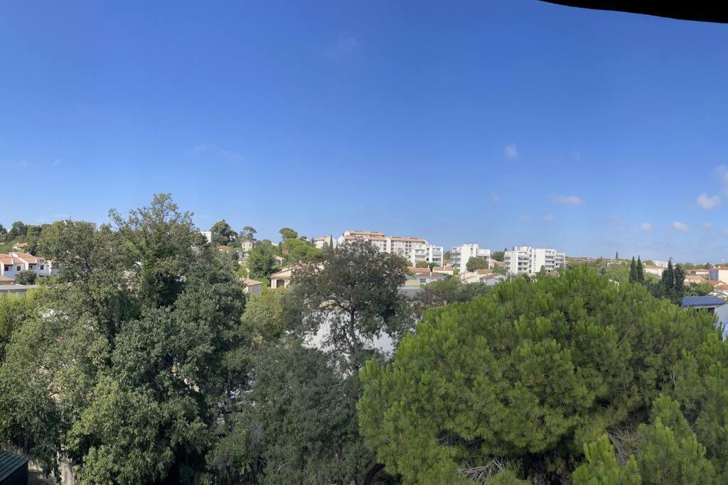 Appartement T2 Avec Terrasse- Montpellier Extérieur photo